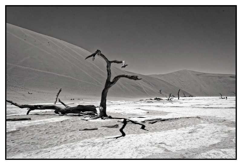 Namibie_1592_web