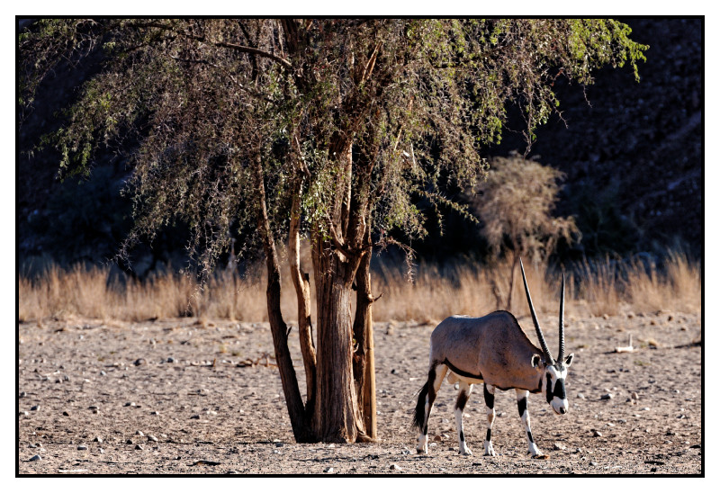 Namibie_1647_web