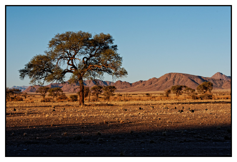Namibie_1661_web