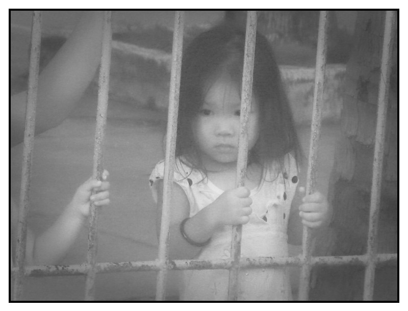 train-danang-hue 0022 web