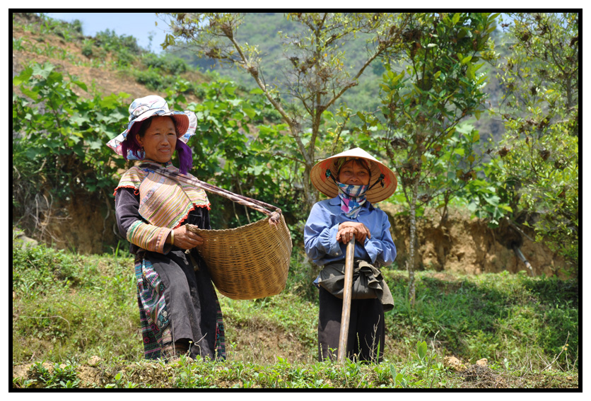 vn-2012 0402