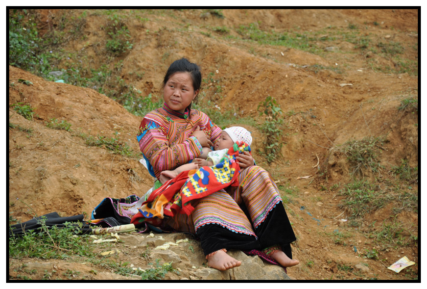 vn-2012 0483