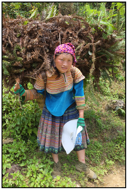 vn-2012 0567